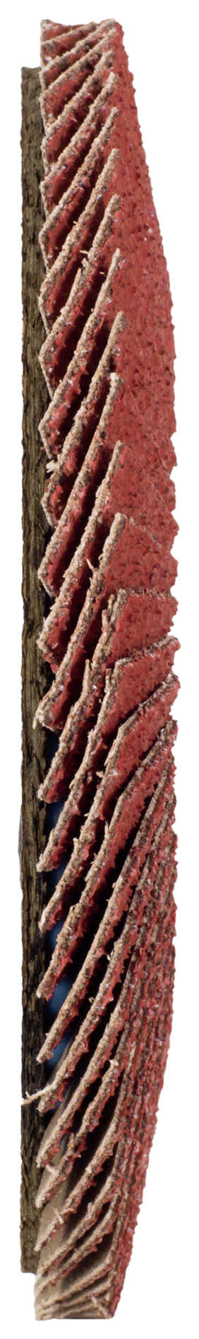 CERABOND X Fächerscheibe (5 Stück)