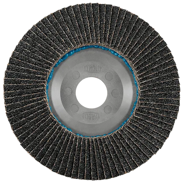 LONGLIFE C-TRIM Fächerscheibe (10 Stück)